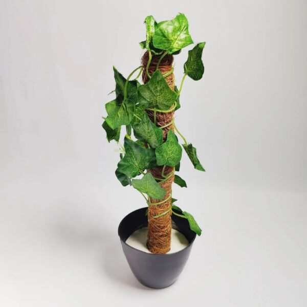 Artificial Money Plant leave with Coconut stick Decorative Flowers Plants best for Home and office Décoration - Image 2
